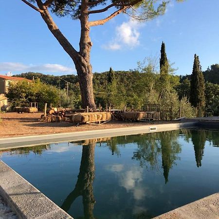 Operaviva Villa Suvereto Buitenkant foto
