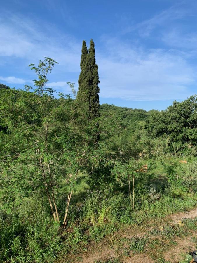 Operaviva Villa Suvereto Buitenkant foto