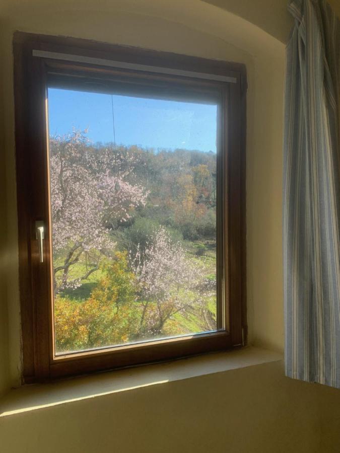 Operaviva Villa Suvereto Buitenkant foto